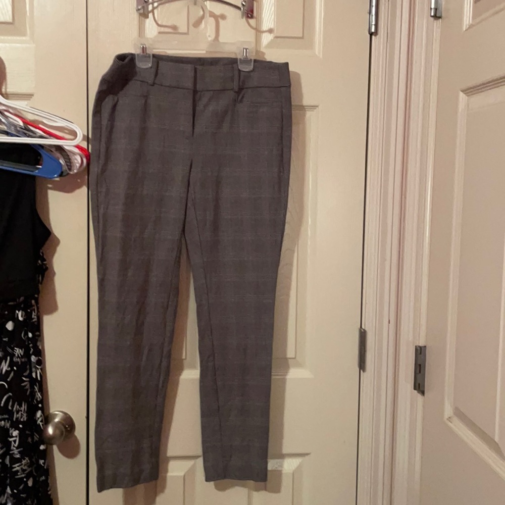 Loft Skinny Pant